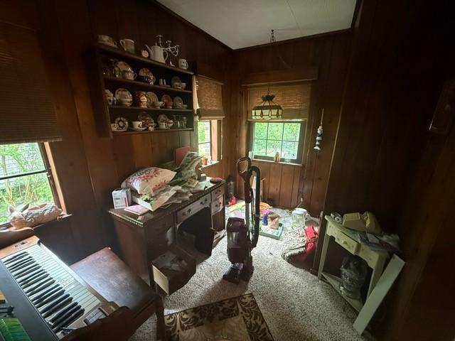 5524 Zieger Ave, Penn Hills, PA 15147 - miscellaneous room with carpet, plenty of natural light, and wood walls