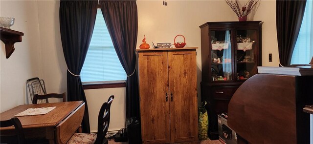 180 Pleasantview Dr, Ohioville, PA 15059 - office with carpet