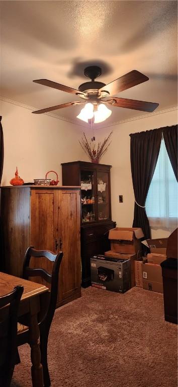 180 Pleasantview Dr, Ohioville, PA 15059 - carpeted home office featuring a ceiling fan