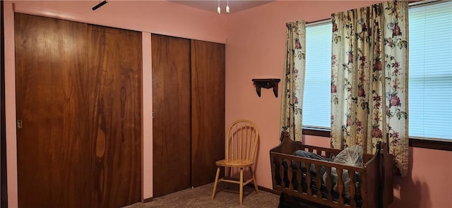180 Pleasantview Dr, Ohioville, PA 15059 - carpeted bedroom with multiple windows