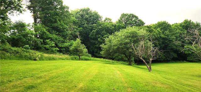 180 Pleasantview Dr, Ohioville, PA 15059 - view of green lawn
