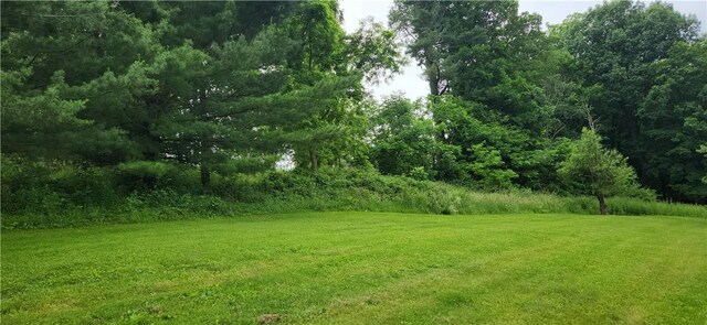 180 Pleasantview Dr, Ohioville, PA 15059 - view of green lawn