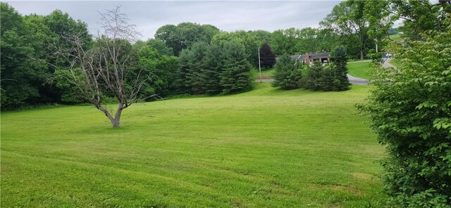 180 Pleasantview Dr, Ohioville, PA 15059 - view of grassy yard