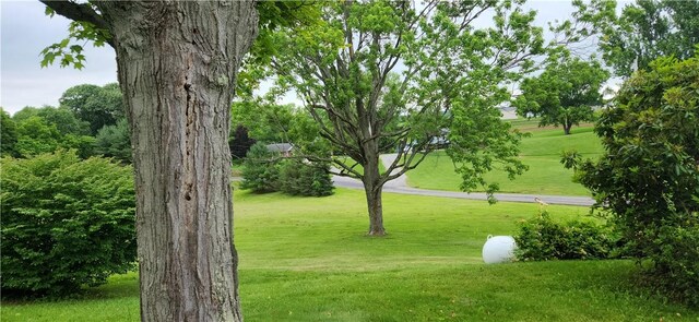 180 Pleasantview Dr, Ohioville, PA 15059 - view of grassy yard