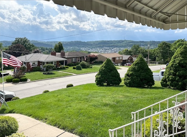 240 Reed St, Lower Burrell, PA 15068 - view of green lawn