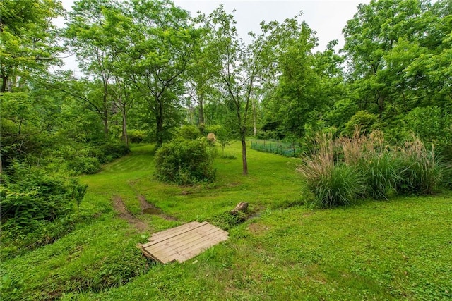 670 Lougeay Rd, Penn Hills, PA 15235 - view of grassy yard