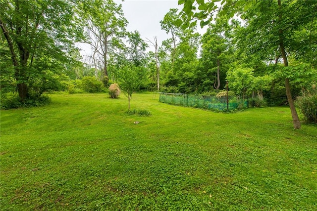 670 Lougeay Rd, Penn Hills, PA 15235 - view of yard