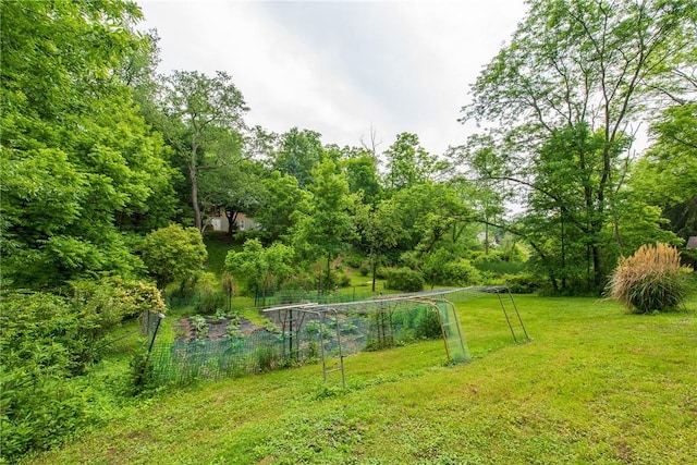 670 Lougeay Rd, Penn Hills, PA 15235 - view of green lawn