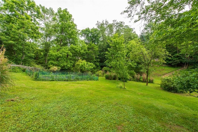 670 Lougeay Rd, Penn Hills, PA 15235 - view of yard
