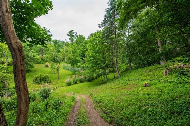 670 Lougeay Rd, Penn Hills, PA 15235 - view of green lawn