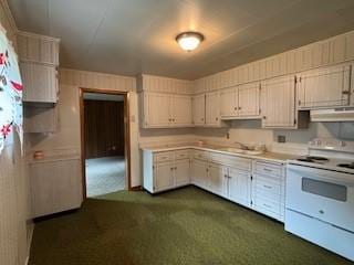 325 Back St, Mount Pleasant Twp Wml, PA 15666 - kitchen with white range with electric cooktop, range hood, light countertops, and dark carpet