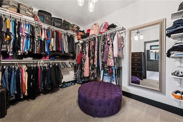 7858 Oscar Ct, North Huntingdon, PA 15642 - walk in closet featuring carpet