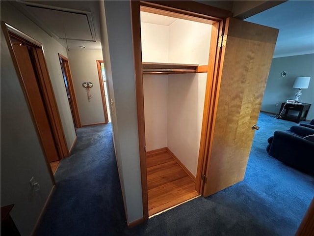 1020 Grove St, Hempfield Twp Wml, PA 15601 - view of closet