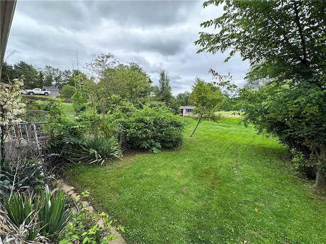 1020 Grove St, Hempfield Twp Wml, PA 15601 - view of green lawn