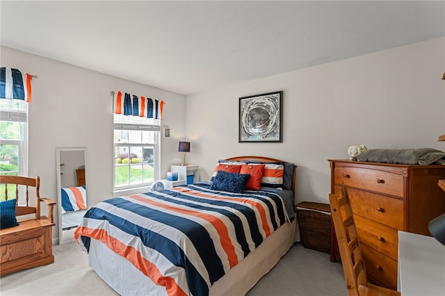 161 Buckingham Dr, Ohio Twp, PA 15237 - view of carpeted bedroom