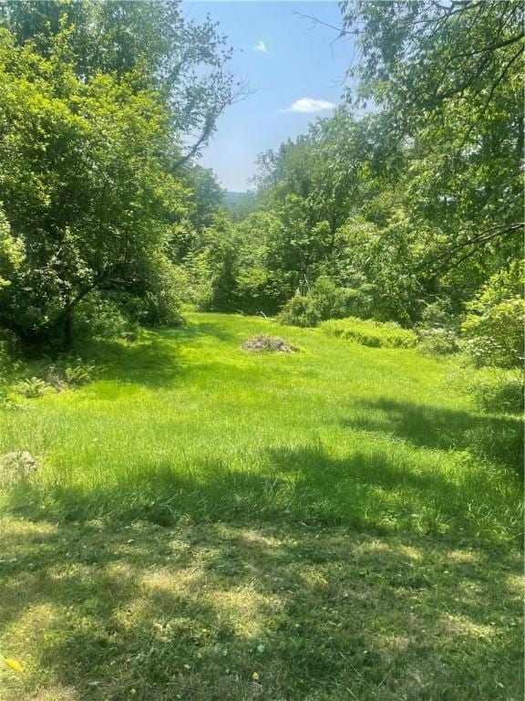 27 Chestnut St, Pine Twp/Heilwood, PA 15745 - photo 34