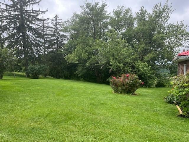 82 Crossridge, Crossridge, PA 15022 - view of grassy yard