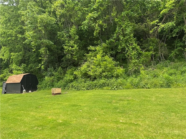 515 Pike Run Dr W, Pike Run Twp, PA 15427 - view of grassy yard with a storage unit