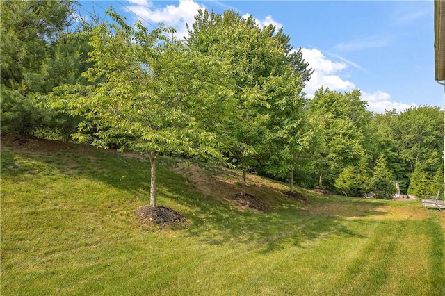 207 Eddie Lewis Dr, Pine Twp Nal, PA 15090 - view of grassy yard with a forest view
