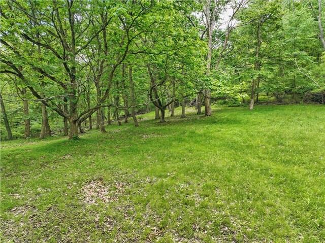 1726 Hillsdale Ave, Economy, PA 15003 - photo 27