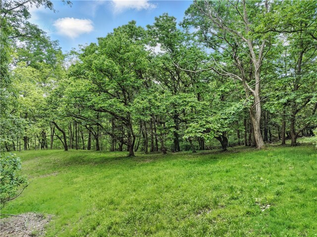 1726 Hillsdale Ave, Economy, PA 15003 - photo 28