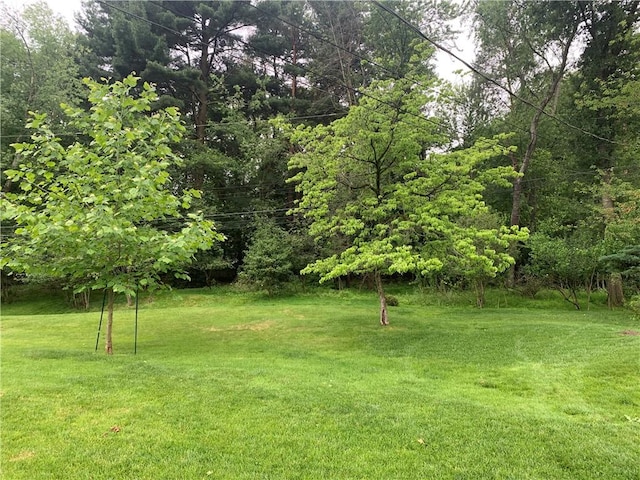 107 Fenwick Dr, Ross Twp, PA 15237 - view of grassy yard
