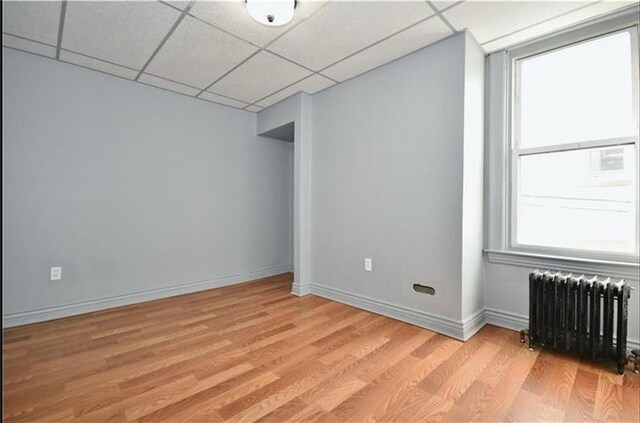 3302 Ward St, Oakland, PA 15213 - photo 21