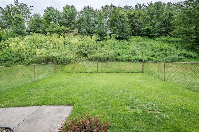 221 William Dr, North Strabane, PA 15317 - view of yard