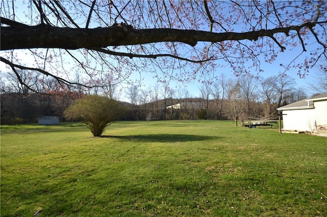 123 Jackson St, Harmony Boro But, PA 16037 - view of green lawn