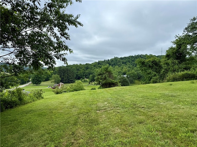 2072 Garards Fort Rd, Waynsbrg/Frankln Twp, PA 15370 - photo 7