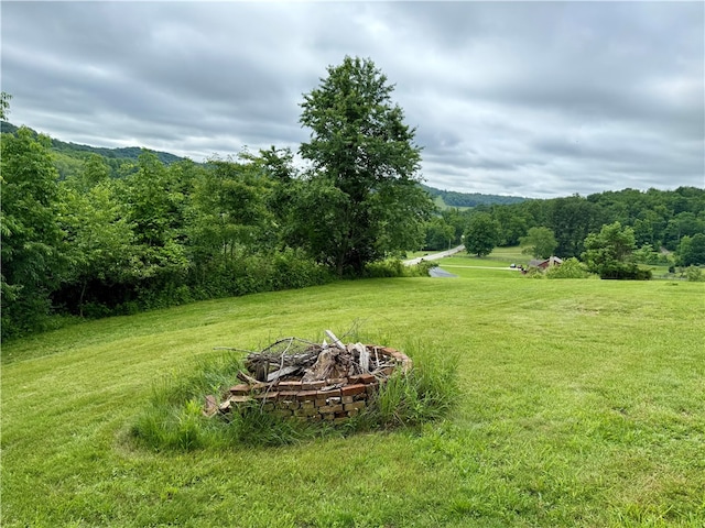 2072 Garards Fort Rd, Waynsbrg/Frankln Twp, PA 15370 - photo 8