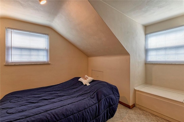 712 N 2nd St, Jeannette, PA 15644 - bedroom featuring light colored carpet, lofted ceiling, and multiple windows