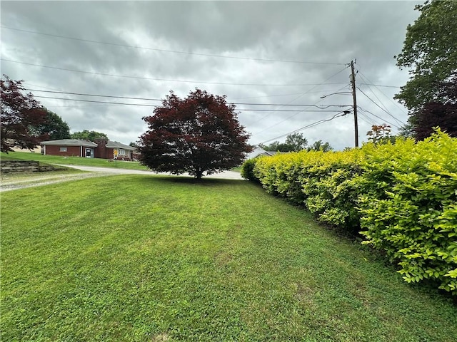 104 Sherwick Dr, Elizabeth Twp/Boro, PA 15037 - view of green lawn