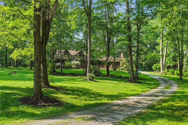 125 Timber Ridge Rd, Clinton Twp, PA 16056 - view of property's community with a lawn