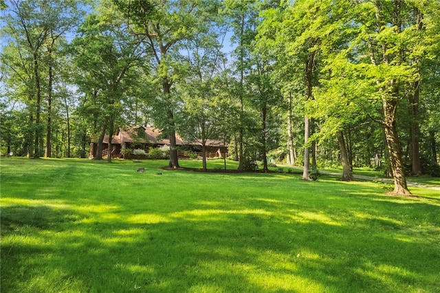 125 Timber Ridge Rd, Clinton Twp, PA 16056 - view of grassy yard