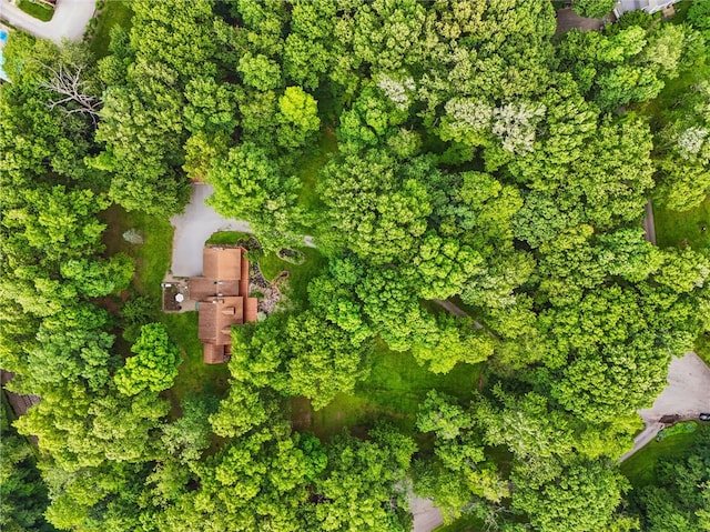 125 Timber Ridge Rd, Clinton Twp, PA 16056 - aerial view of property's location