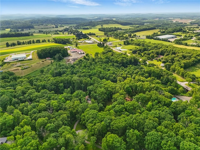 125 Timber Ridge Rd, Clinton Twp, PA 16056 - overview of rural landscape with a forest