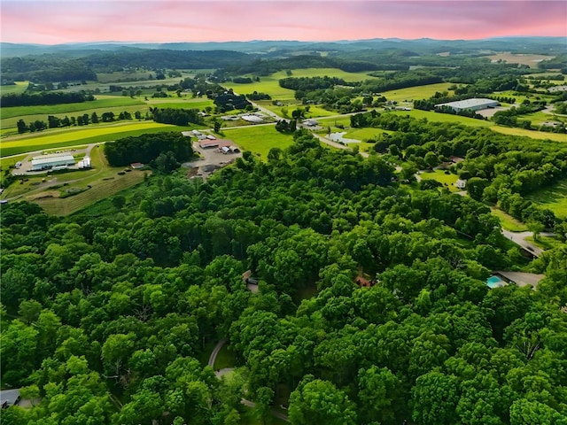 125 Timber Ridge Rd, Clinton Twp, PA 16056 - aerial overview of property's location