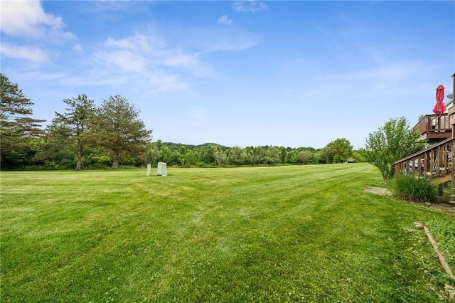 11 Sunset Ct, Cranberry Twp, PA 16066 - view of green lawn