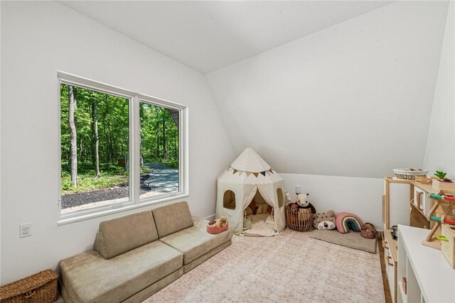 3019 Oak Ridge Ln, Saltlick Twp, PA 15622 - rec room featuring vaulted ceiling