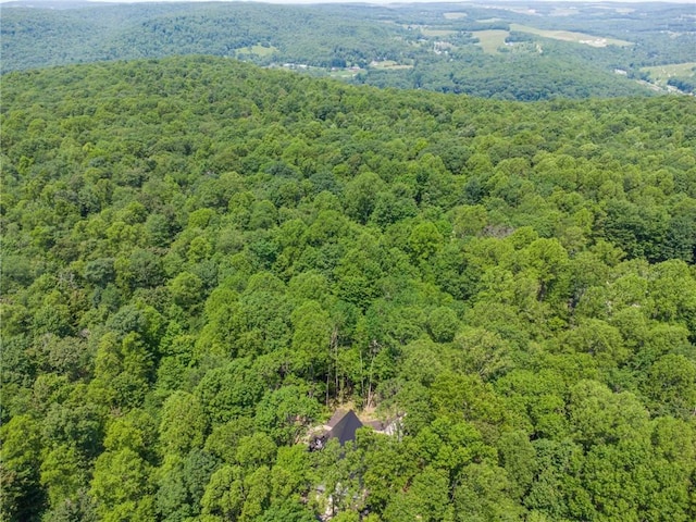 3019 Oak Ridge Ln, Saltlick Twp, PA 15622 - aerial view of a heavily wooded area