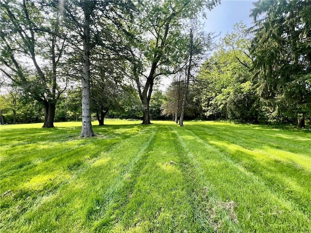 473 Moore Ave, Union Twp Law, PA 16101 - photo 3