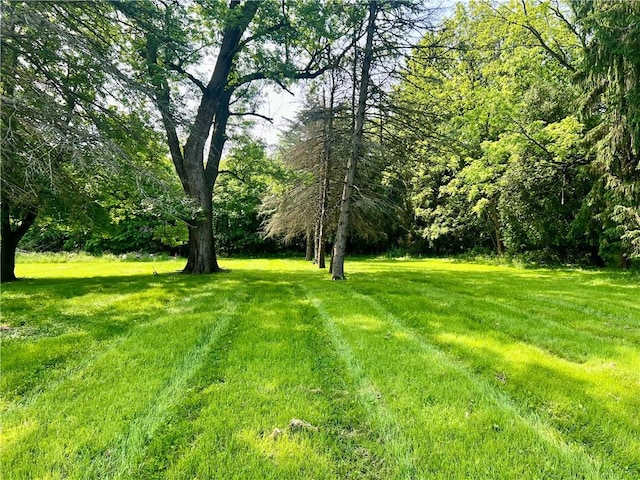473 Moore Ave, Union Twp Law, PA 16101 - photo 4