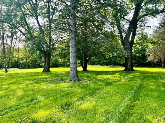 473 Moore Ave, Union Twp Law, PA 16101 - photo 5
