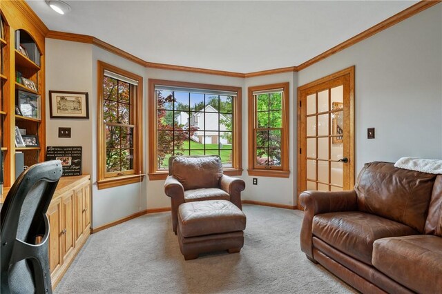 330 Warrick Dr, Seven Fields Boro, PA 16046 - office area featuring plenty of natural light, ornamental molding, and light carpet