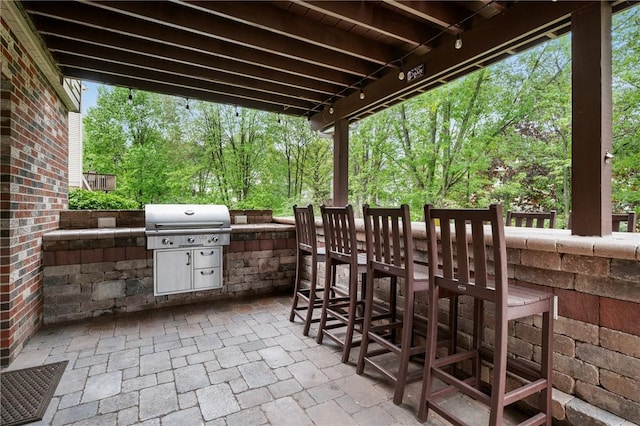 330 Warrick Dr, Seven Fields Boro, PA 16046 - view of patio / terrace featuring an outdoor kitchen