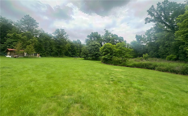 389 Rices Landing Rd, Luzerne Twp, PA 15433 - view of grassy yard featuring a wooded view