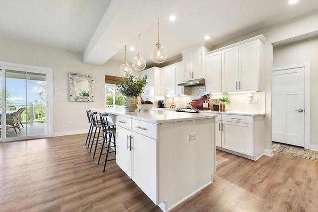 622 Burberry Blvd, Lehigh Twp, PA 16063 - kitchen featuring light wood-style floors, healthy amount of natural light, under cabinet range hood, recessed lighting, and white cabinetry