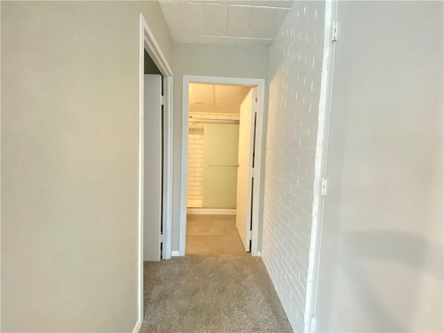 446 Hoodridge Dr Unit 210, Castle Shannon, PA 15234 - hall with carpet floors and baseboards
