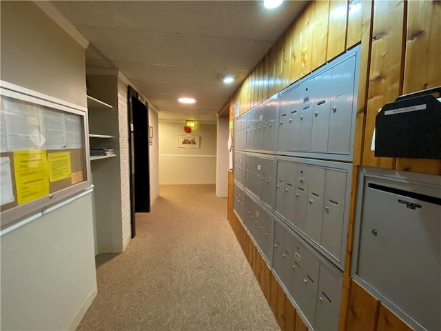 446 Hoodridge Dr Unit 210, Castle Shannon, PA 15234 - hallway with mail area, carpet, recessed lighting, and crown molding